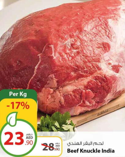 Till 26th March