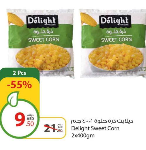 Till 26th March