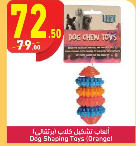 الحيوانات الأليفة in محمود الفار, Egypt Offers - Egypt Till 24th March