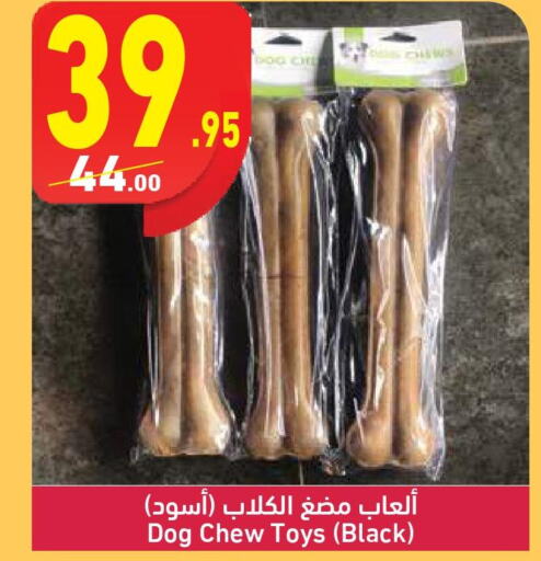 الحيوانات الأليفة in محمود الفار, Egypt Offers - Egypt Till 24th March
