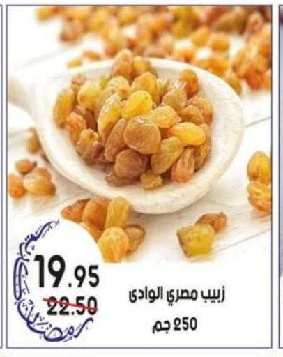 Till 29th March