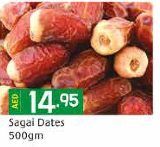 Till 22nd March