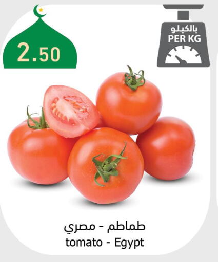 Vegs in Al Raya, Saudi Arabia Offers - Saudi Arabia Till 28th March