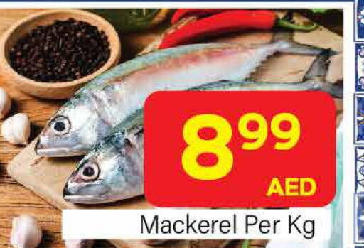 Till 26th March