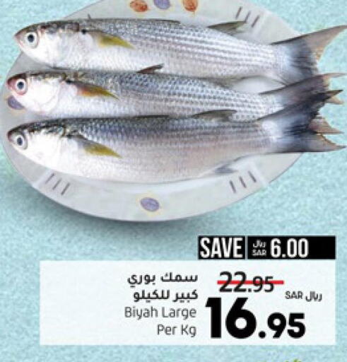 Till 28th March