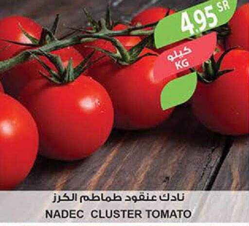Vegs in Farm , Saudi Arabia Offers - Saudi Arabia Till 28th March