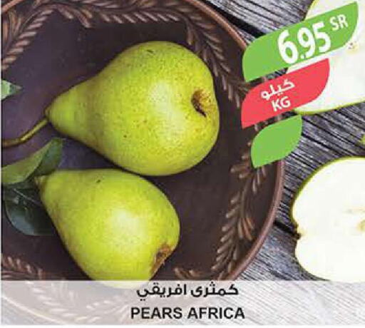 Fruits in Farm , Saudi Arabia Offers - Saudi Arabia Till 28th March