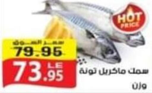 Till 29th March
