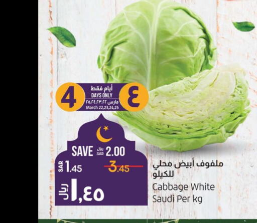 خضروات in لولو هايبرماركت, المملكة العربية السعودية Offers - المملكة العربية السعودية Till 28th March