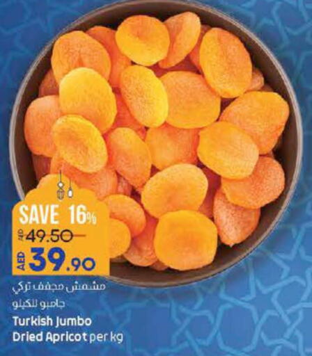 Till 29th March