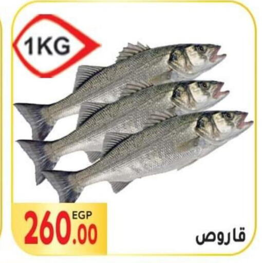 Till 10th June