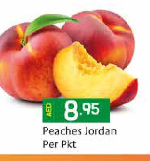 Till 7th June