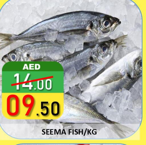 Till 4th June