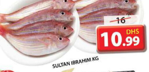 Fish in Grand Hyper Market, UAE Offers - United Arab Emirates Till 7th June