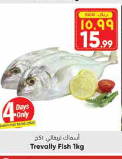 Fish in City Flower, Saudi Arabia Offers - Saudi Arabia Till 13th June