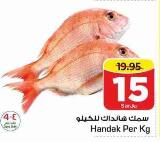 أسماك in نستو, المملكة العربية السعودية Offers - المملكة العربية السعودية Till 13th June