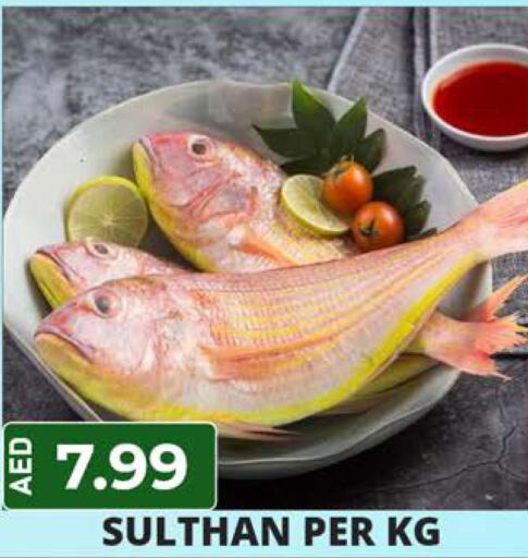 Fish in Palm Centre LLC, UAE Offers - United Arab Emirates Till 12th June