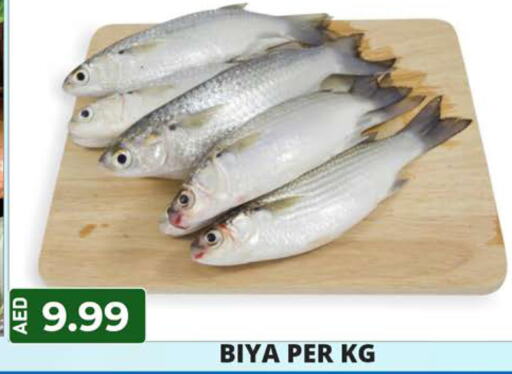 Fish in Palm Centre LLC, UAE Offers - United Arab Emirates Till 12th June
