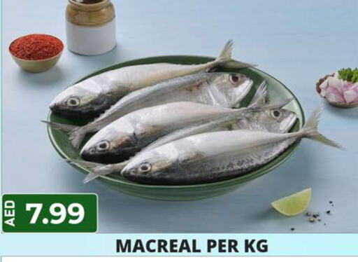 Fish in Palm Centre LLC, UAE Offers - United Arab Emirates Till 12th June