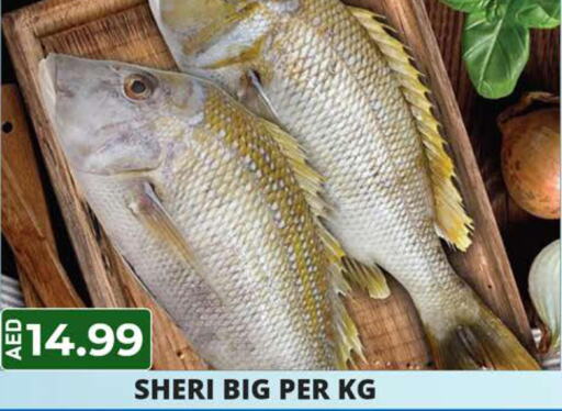 Fish in Palm Centre LLC, UAE Offers - United Arab Emirates Till 12th June
