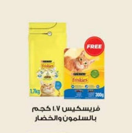 Pets offers in Egypt Cairo