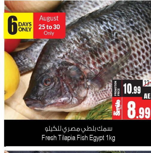 Fresh Fish in Ansar Gallery, UAE Offers - United Arab Emirates Till 26th September