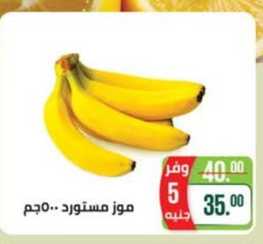 فاكهة طازجة in سعودي سوبرماركت, Egypt Offers - Egypt Till 26th September