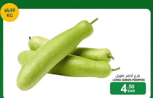 Fresh Vegetables in Mazaya, Saudi Arabia Offers - Saudi Arabia Till 21st September