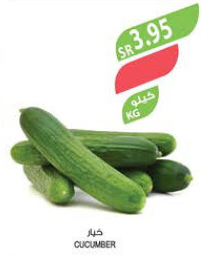 الخضروات الطازجة in المزرعة, المملكة العربية السعودية Offers - المملكة العربية السعودية Till 26th September