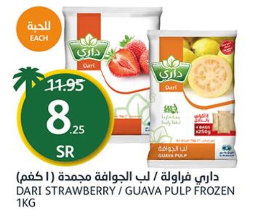 Frozen Fruits & Veg in AlJazera Shopping Center, Saudi Arabia Offers - Saudi Arabia Till 26th September