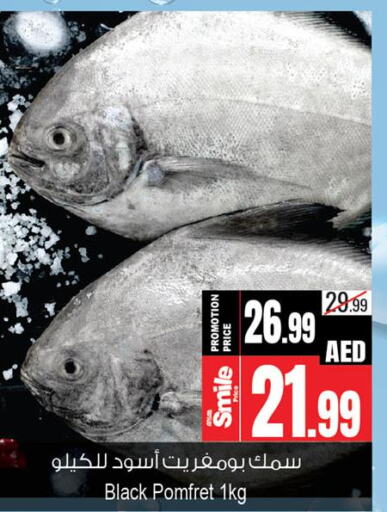 Fresh Fish in Ansar Gallery, UAE Offers - United Arab Emirates Till 27th September