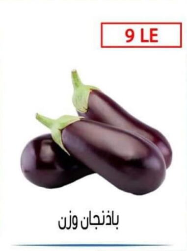 الخضروات الطازجة in بن سليمان, Egypt Offers - Egypt Till 30th September