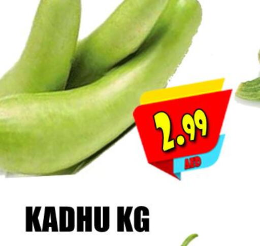 Fresh Vegetables in Grand Majestic Hypermarket, UAE Offers - United Arab Emirates Till 26th September