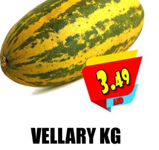Fresh Vegetables in Grand Majestic Hypermarket, UAE Offers - United Arab Emirates Till 26th September