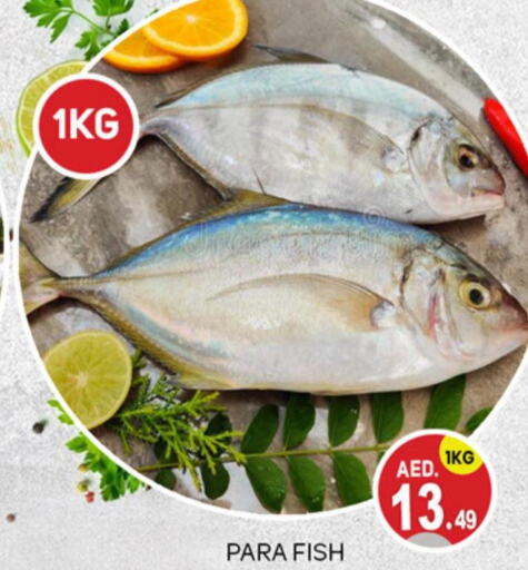 الأسماك الطازجة in سوق طلال, UAE Offers - الإمارات العربية المتحدة Till 24th September
