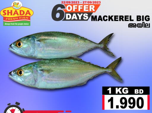 till 27th September