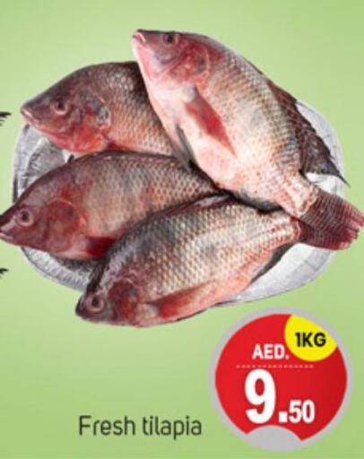 الأسماك الطازجة in سوق طلال, UAE Offers - الإمارات العربية المتحدة Till 24th September