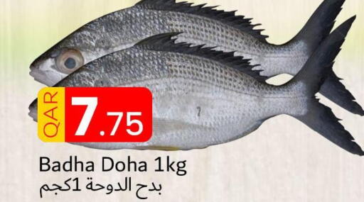 الأسماك الطازجة in دانة هايبرماركت, قطر Offers - قطر Till 26th September