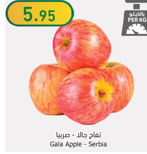 Fresh Fruits in Al Raya, Saudi Arabia Offers - Saudi Arabia Till 3rd October
