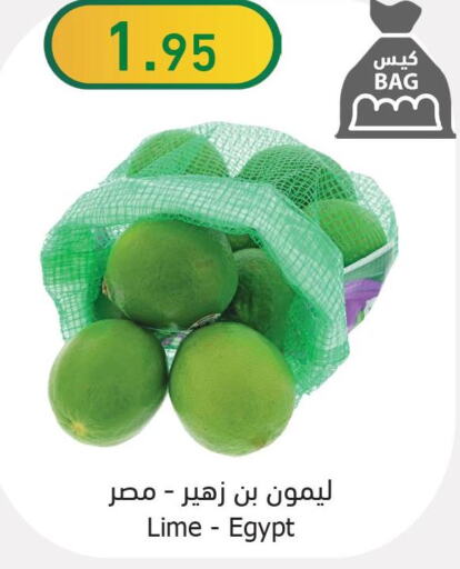 Fresh Vegetables in Al Raya, Saudi Arabia Offers - Saudi Arabia Till 3rd October