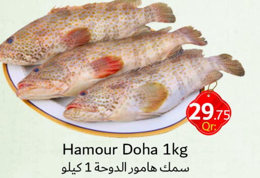 الأسماك الطازجة in دانة هايبرماركت, قطر Offers - قطر Only On 26th September