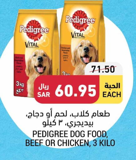 الحيوانات الأليفة in أسواق التميمي, المملكة العربية السعودية Offers - المملكة العربية السعودية Till 3rd October