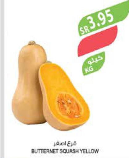 Fresh Vegetables in Farm , Saudi Arabia Offers - Saudi Arabia Till 3rd October