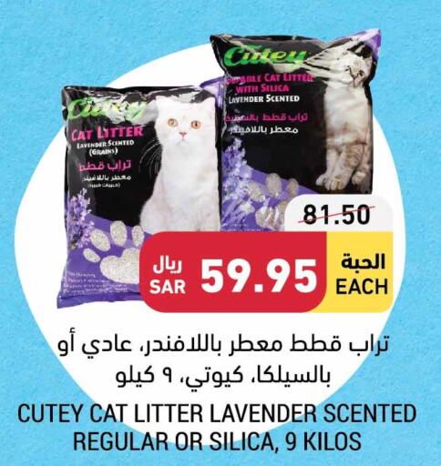 الحيوانات الأليفة in أسواق التميمي, المملكة العربية السعودية Offers - المملكة العربية السعودية Till 3rd October