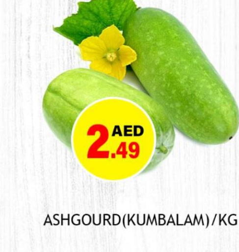 Fresh Vegetables in Souk Al Mubarak Hypermarket, UAE Offers - United Arab Emirates Till 1st October