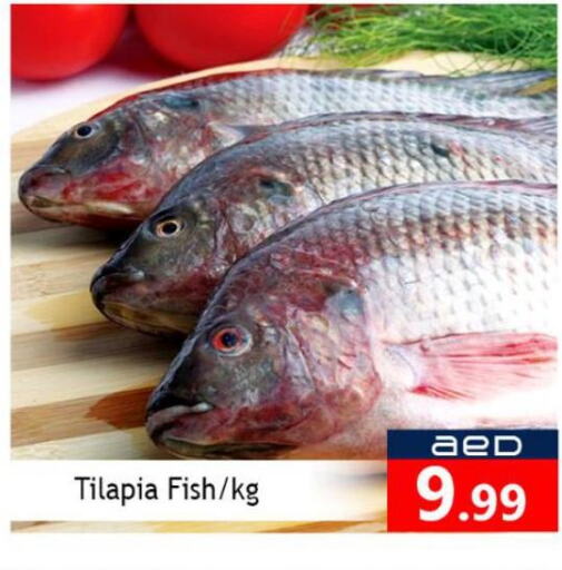 Fresh Fish in Souk Al Mubarak Hypermarket, UAE Offers - United Arab Emirates Till 1st October