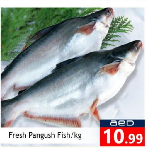 Fresh Fish in Souk Al Mubarak Hypermarket, UAE Offers - United Arab Emirates Till 1st October