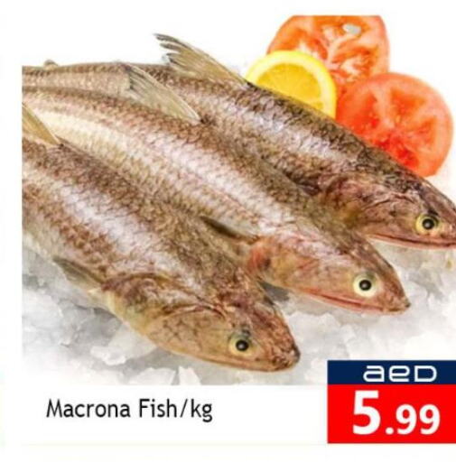 Fresh Fish in Souk Al Mubarak Hypermarket, UAE Offers - United Arab Emirates Till 1st October