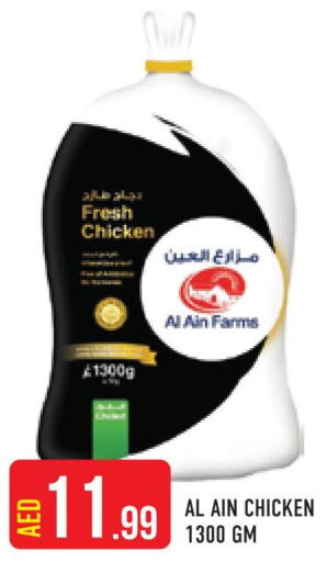 دجاج in سنابل بني ياس, UAE Offers - الإمارات العربية المتحدة Till 1st October