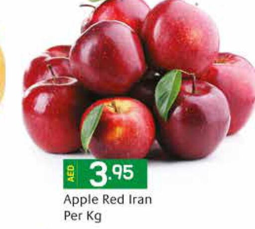 Till 4th October